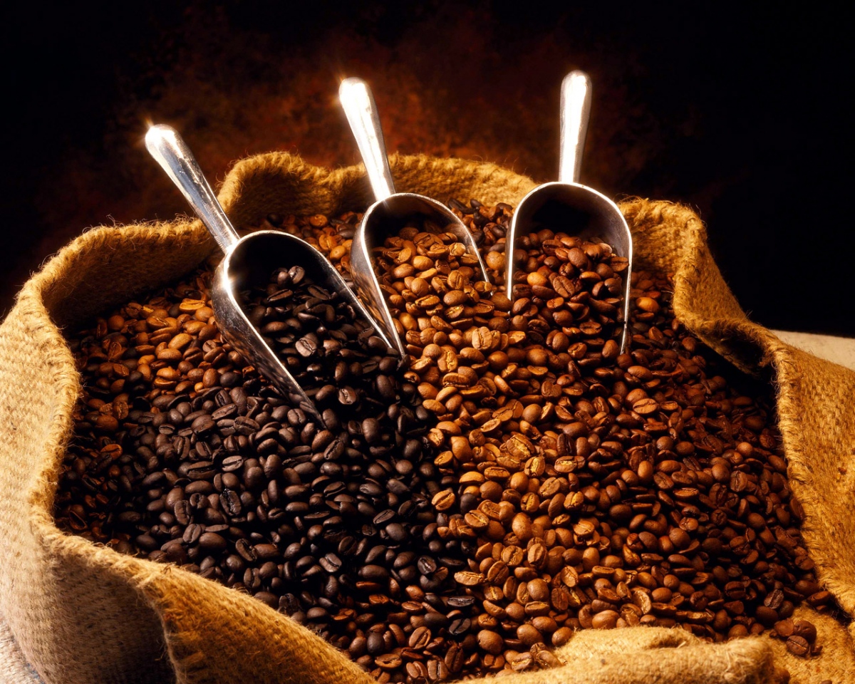 Phân biệt các loại cà phê hạt Rosbusta, Arabica và Culi